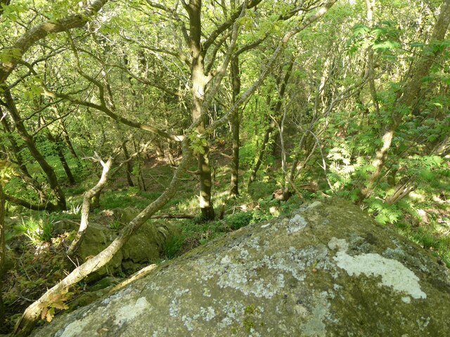 view-down-a-steep-rock-outcrop-on-mynydd-jeremy-bolwell