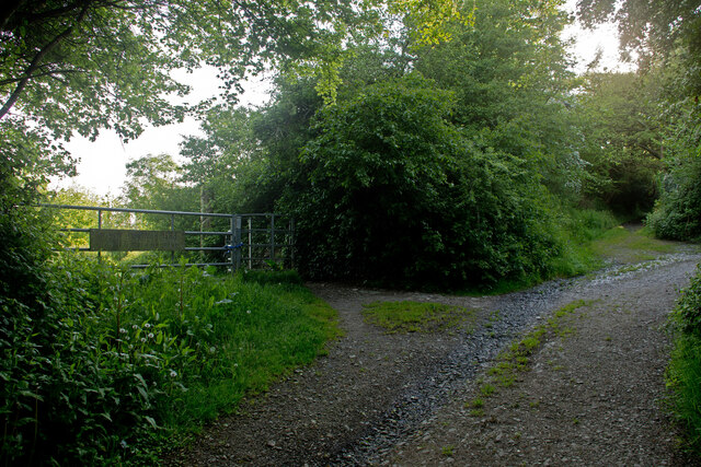 An entrance into the Yeo Valley Woodland