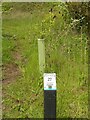 British Native Tree Trail, Gedling Country Park