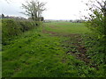 View from Mill Lane, Walkeringham