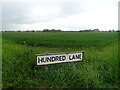 Cereal crop off Hundred Lane