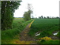 Footpath to Gipping, Brown Street