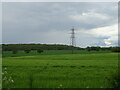 Cereal crop and pylon