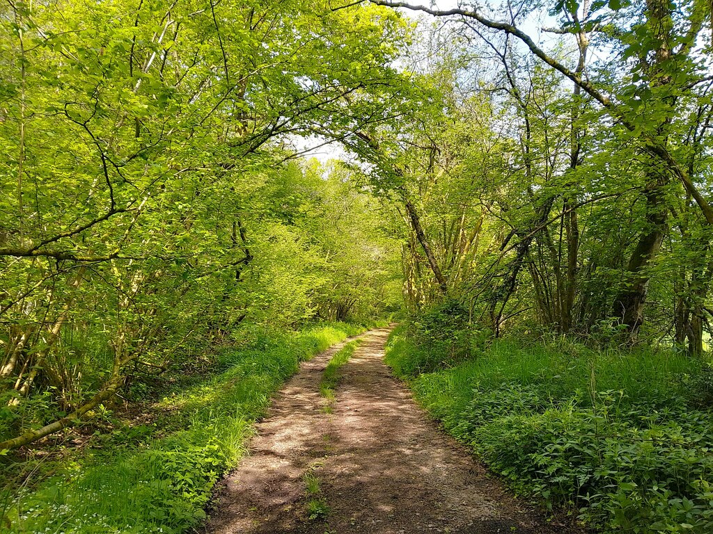 Bridleway towards Burghclere © Oscar Taylor cc-by-sa/2.0 :: Geograph ...