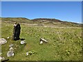 NG6116 : The pre-historic standing stone at Boreraig by David Medcalf