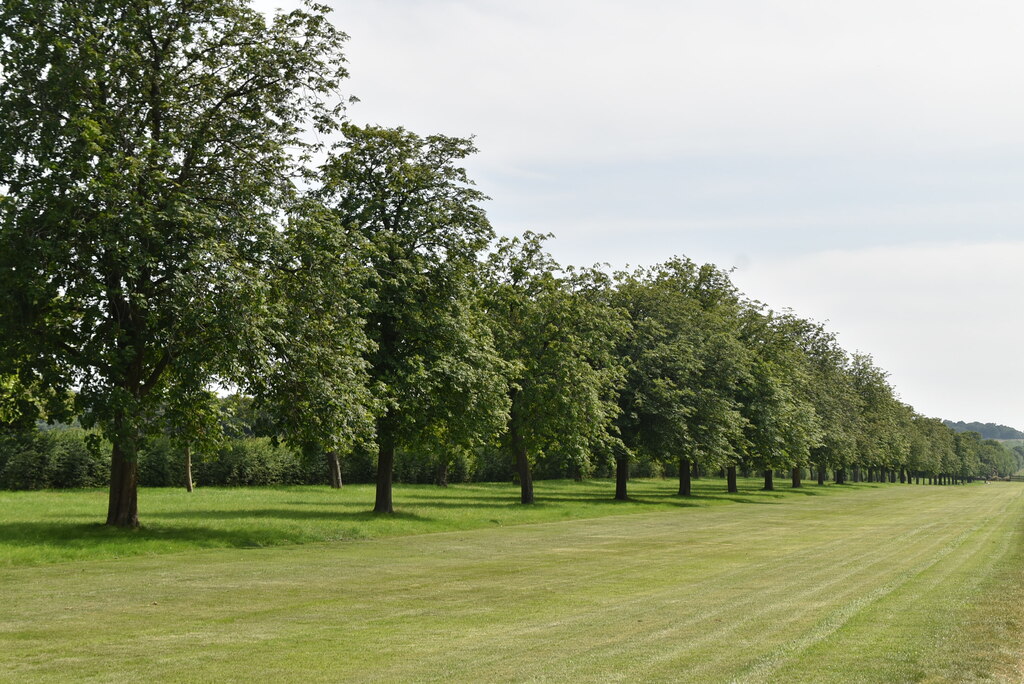 windsor great park cycle map