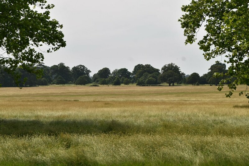 windsor great park cycle map