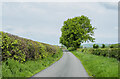 NT5051 : Minor road between hedges by Trevor Littlewood
