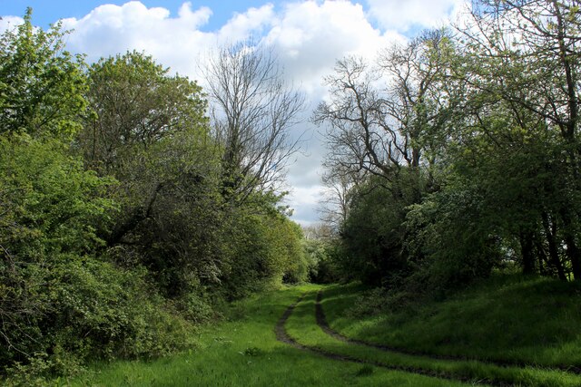 Weardale Way between Witton-le-Wear and... © Chris Heaton :: Geograph ...