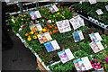 TQ3482 : Shoreditch : Columbia Road flower market (4) by Jim Osley