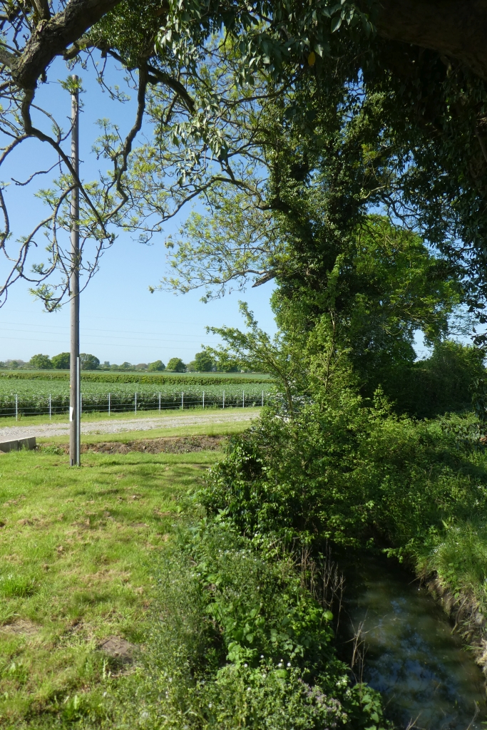 Drain Near The Entrance To Greenthwaite DS Pugh Geograph Britain And Ireland