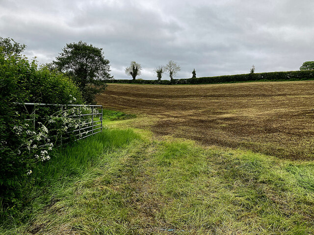 An open field, Carnony