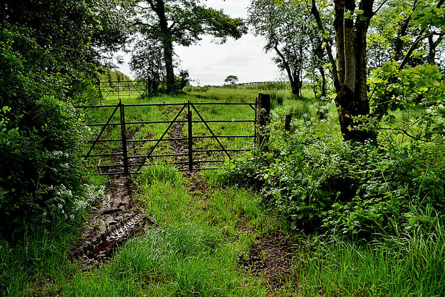 Muddy entrance to field, Cranny