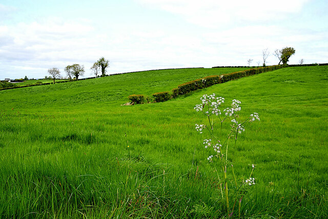 Green fields, Attaghmore
