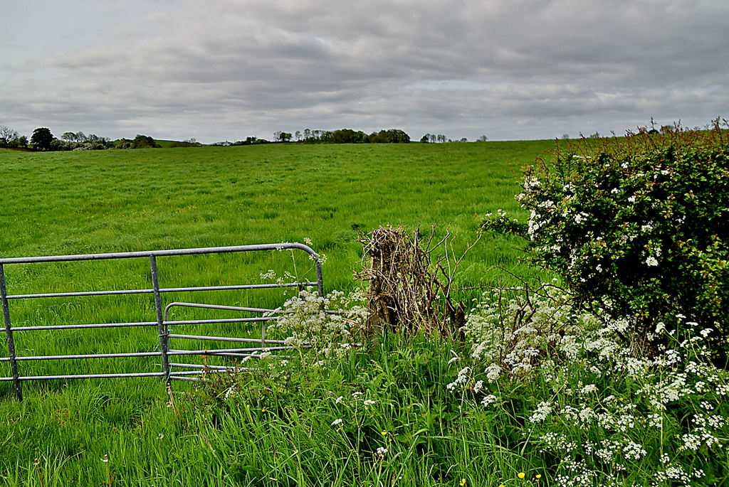 Cavan Townland © Kenneth Allen Cc-by-sa/2.0 :: Geograph Britain And Ireland