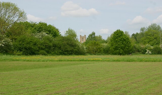 Open country within Great Dunmow
