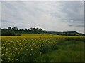 SO3972 : Fields near Brandon Camp, Herefordshire by Jeff Gogarty