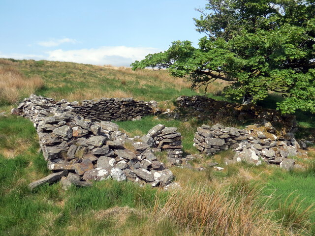 Bryn-brith © Alan Richards cc-by-sa/2.0 :: Geograph Britain and Ireland