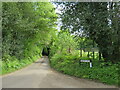 Frensham Lane, near Bordon