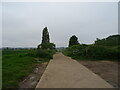 Track (footpath) towards Levington Creek