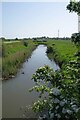 Downstream on Holland Brook