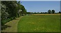 Field edge footpath.