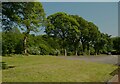 Trees off Spen Bank, Gomersal