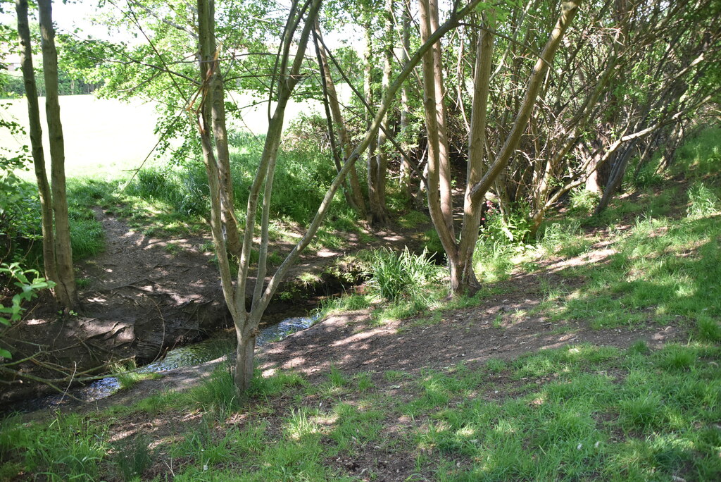 Stream, Downham Playing fields © N Chadwick :: Geograph Britain and Ireland