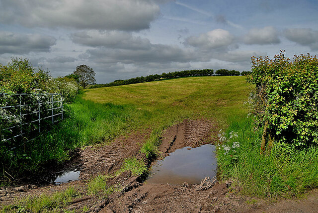 Muddy entrance to an open field, Seskinore