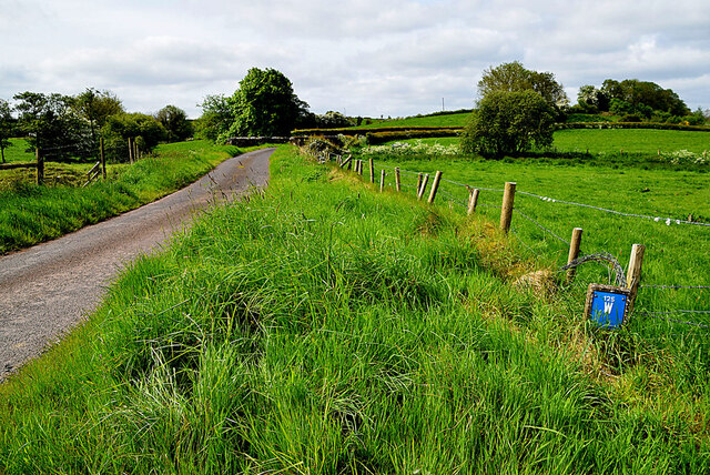 Wide grass verge along Millbridge Road, Seskinore