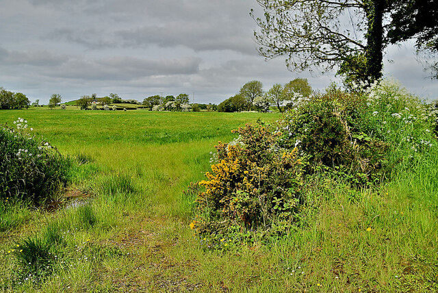 An open field, Tullyvally