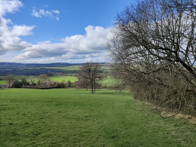 Blakeway Hollow at Wenlock Edge © Mat Fascione :: Geograph Britain and ...