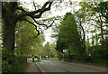 Chelsham Common Road