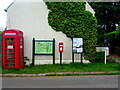 Greens and reds, Llandenny, Monmouthshire