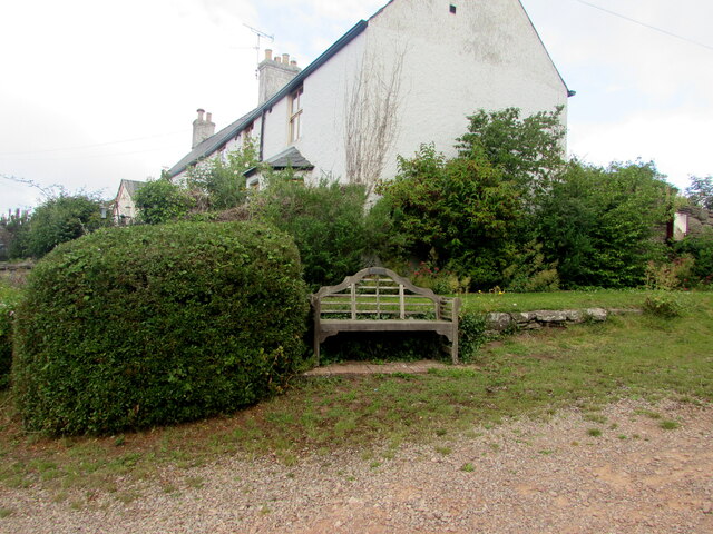 Hedge and bench, Llandenny, Monmouthshire