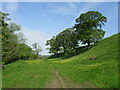 Path by the River Ure