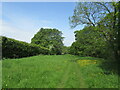 Path alongside the River Ure