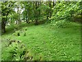 Old footpath line up the hillside in woods