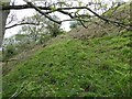 Old path line up and down steep hillside