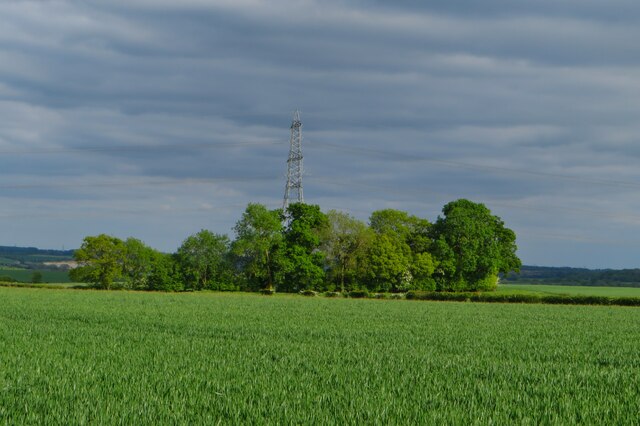 Copse and pylon by the Harcamlow Way