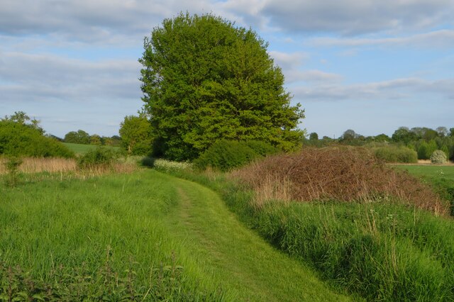 Footpath towards the M11