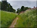 Midgham Park footpath