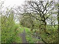 Path near Doffer Fold