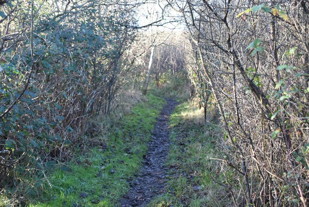 footpath-stepping-down-n-chadwick-cc-by-sa-2-0-geograph-britain