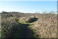 Footpath, Coney Hill