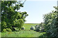 Dam of Abberton Reservoir