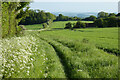 Farmland, Chute