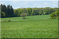 Farmland, Hurstbourne Tarrant