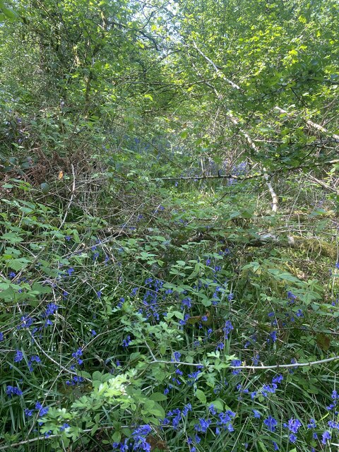 How Do I Report An Overgrown Footpath