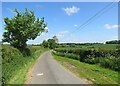 Clavering: private road and public byway